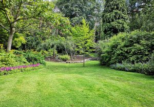 Optimiser l'expérience du jardin à Droue-sur-Drouette