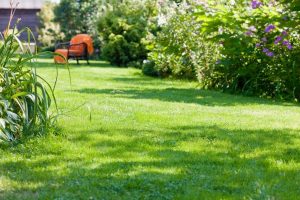 travaux jardin et paysage Droue-sur-Drouette